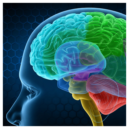 Bringing Complex Science to Life